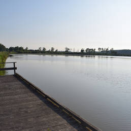 Marais de Brunémont étang fédéral dans le Nord