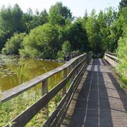 Marais de Brunémont étang fédéral dans le Nord