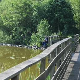 Marais de Brunémont étang fédéral dans le Nord