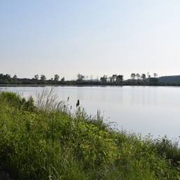 Marais de Brunémont étang fédéral dans le Nord