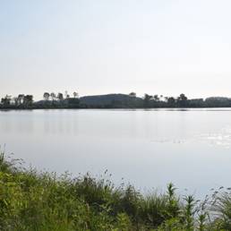 Marais de Brunémont étang fédéral dans le Nord