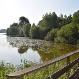 Marais de Brunémont étang fédéral dans le Nord